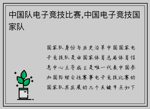 中国队电子竞技比赛,中国电子竞技国家队