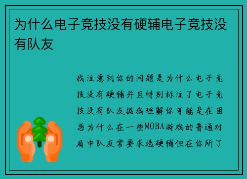 为什么电子竞技没有硬辅电子竞技没有队友